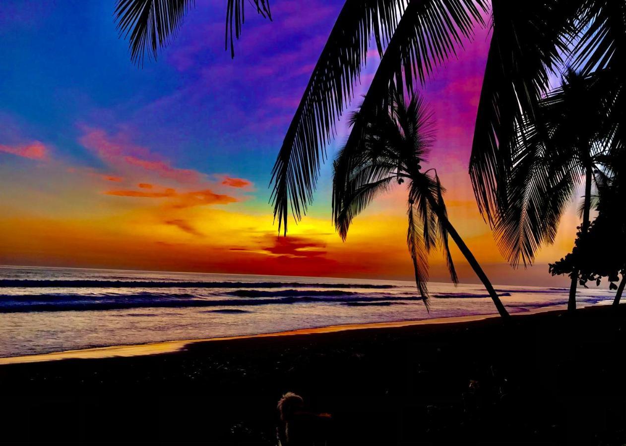 Beachfront Paradise Manuel Antonio Extérieur photo