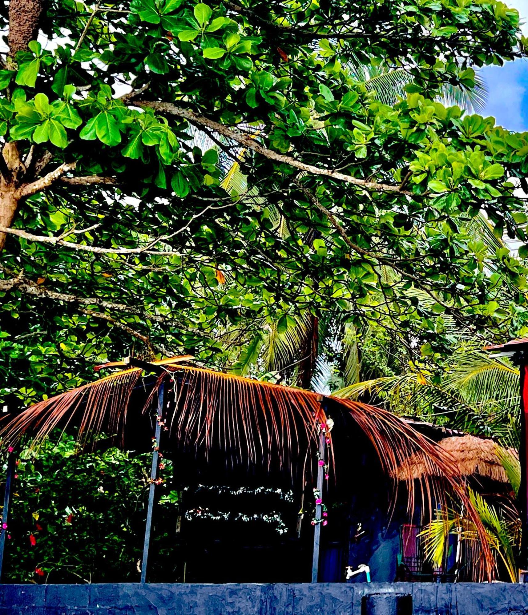 Beachfront Paradise Manuel Antonio Extérieur photo