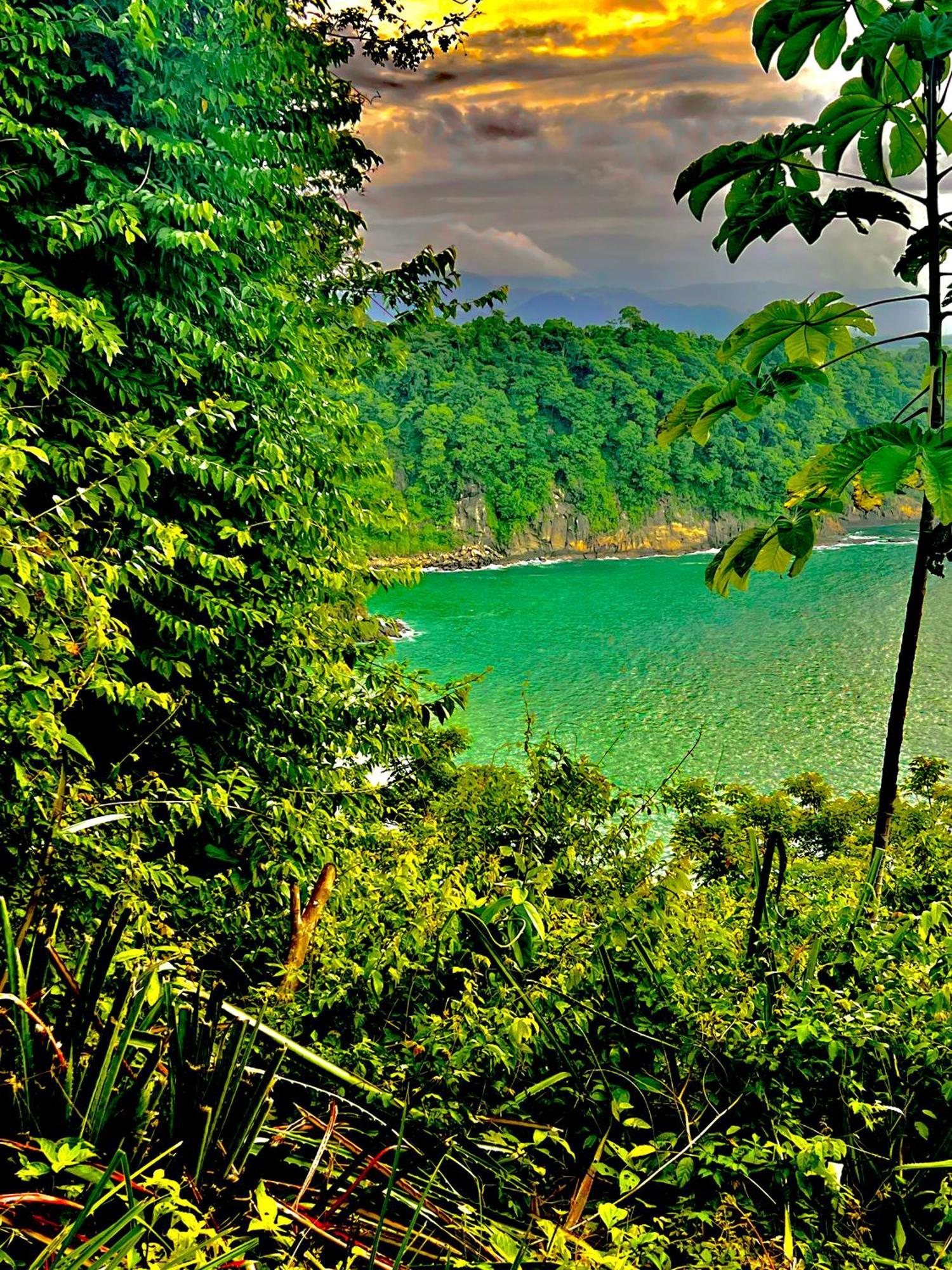 Beachfront Paradise Manuel Antonio Extérieur photo