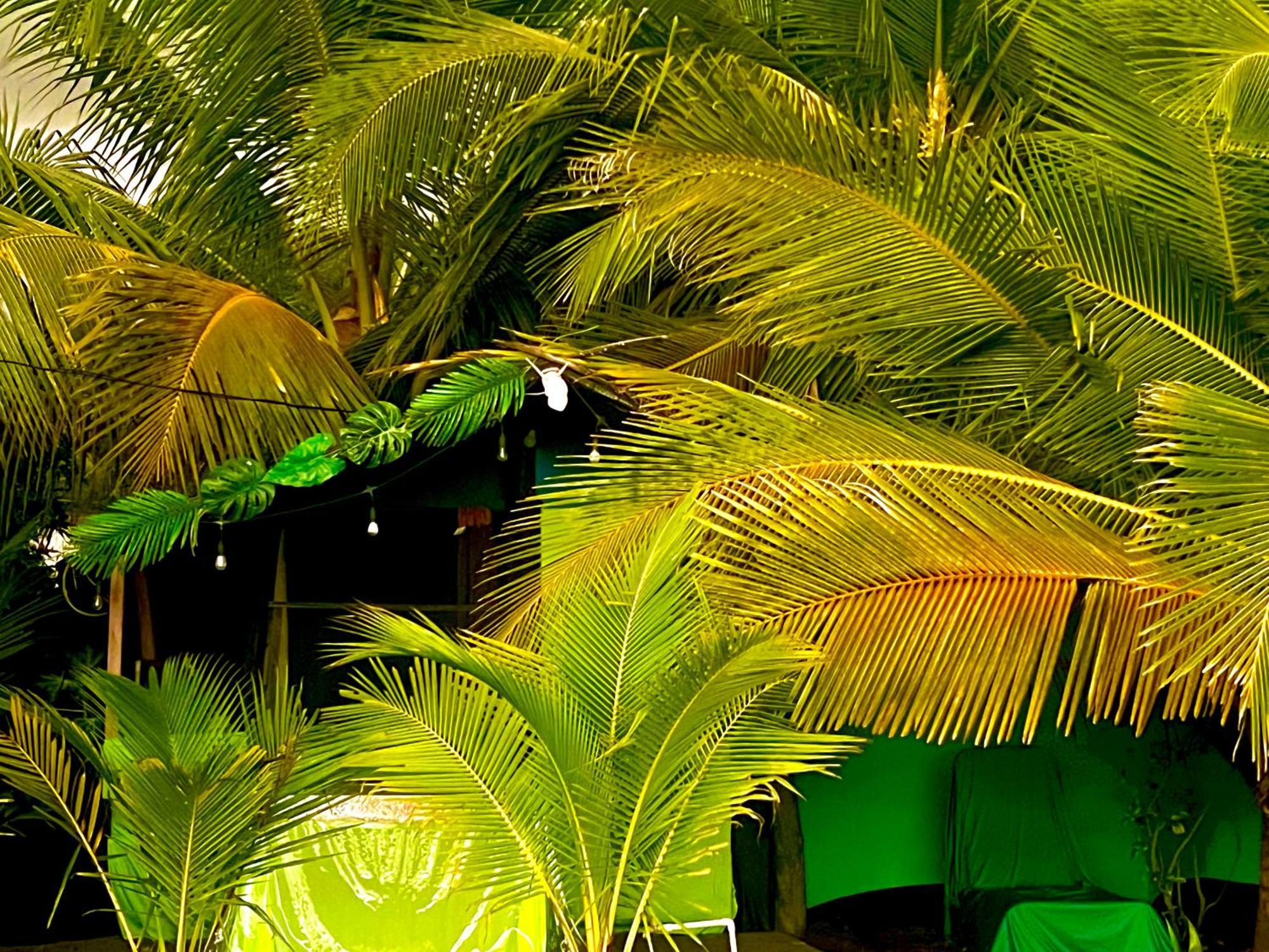 Beachfront Paradise Manuel Antonio Extérieur photo