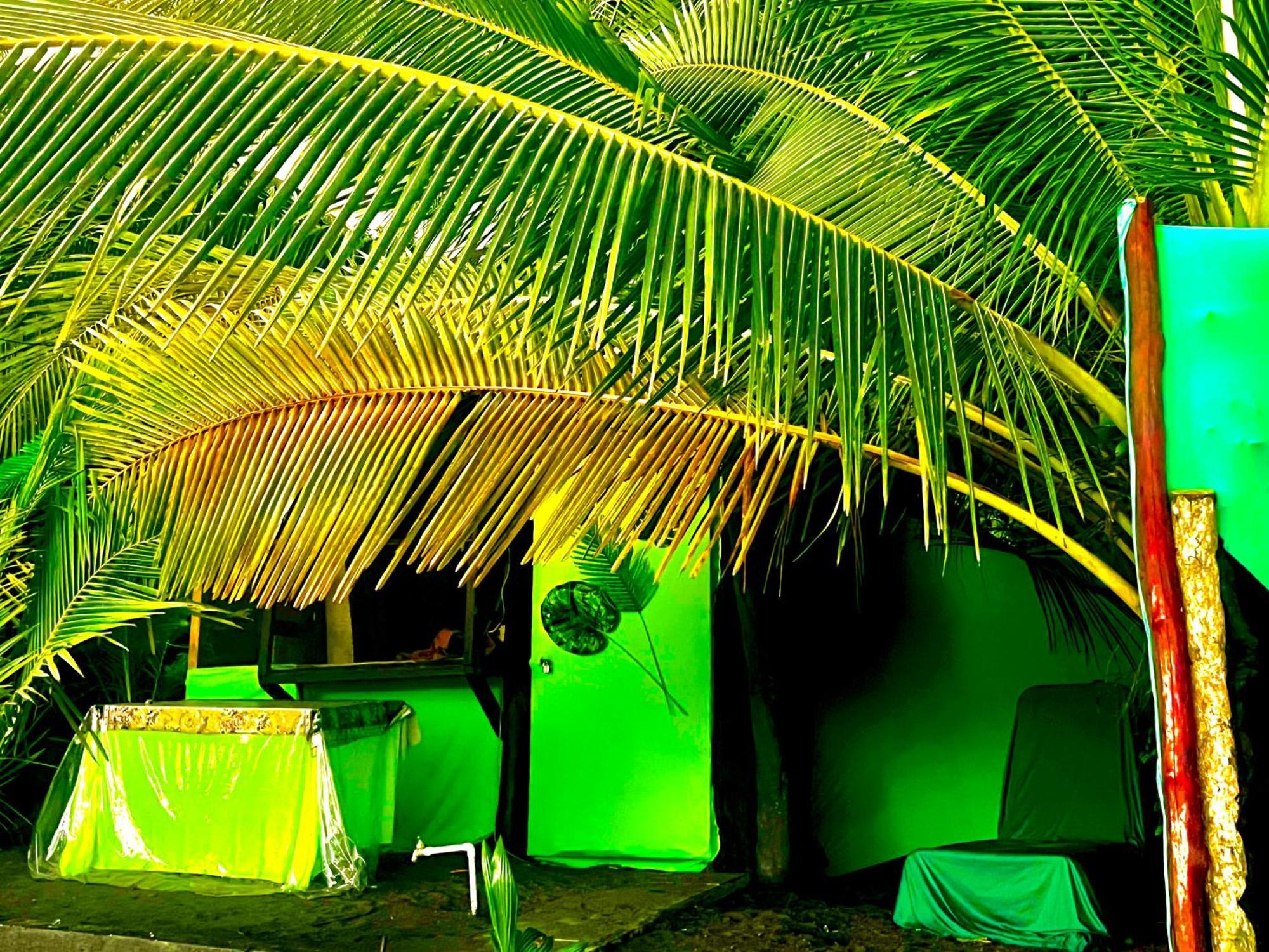Beachfront Paradise Manuel Antonio Extérieur photo